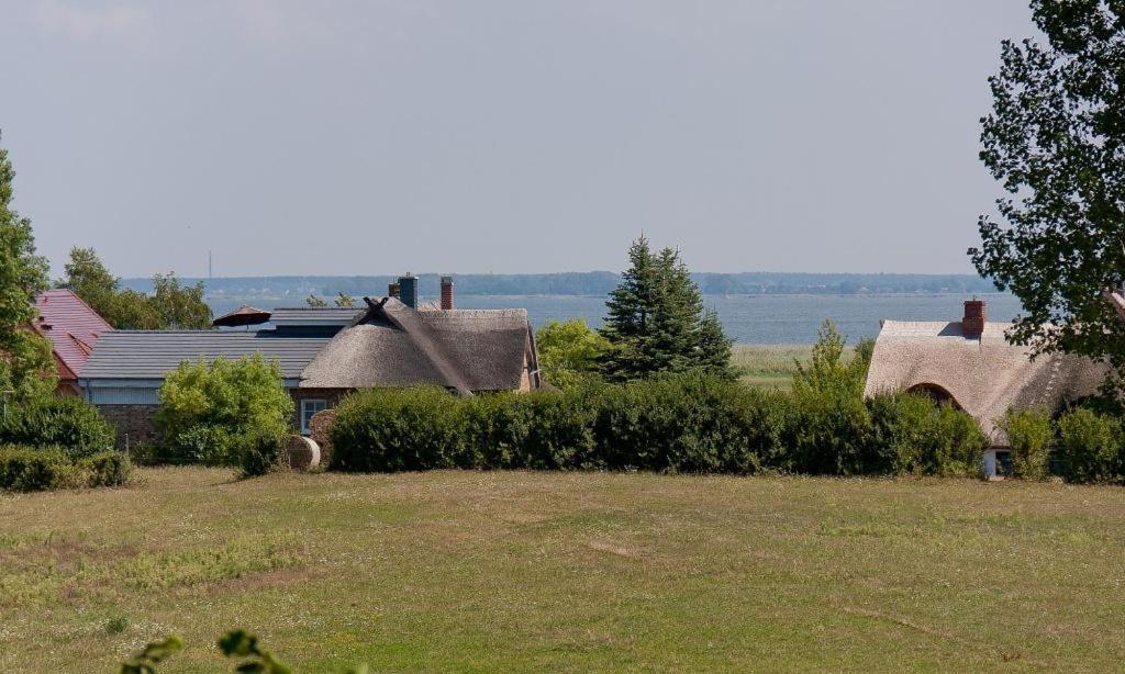 Droemhus Βίλα Ahrenshoop Εξωτερικό φωτογραφία